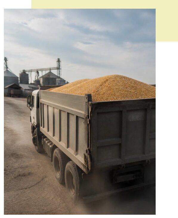 Перевозка сельхозпродукции навалом в Киров по цене от 3109 р. | Агросервис-Кри