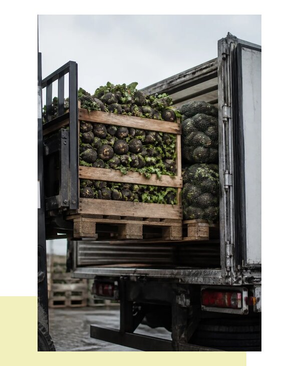 Перевозка редьки автотранспортом с доставкой в Киров